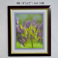 Wood Photo Frame Size 8R / 8"x12" / A4 / 10R (made in Malaysia)