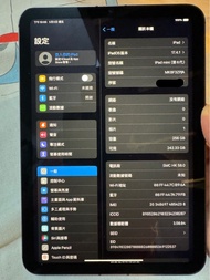 iPad mini 6 256gb WiFi + cellular 太空灰