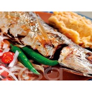 IKAN BUDU/IKAN JERUK/IKAN BEKOK FROM KELANTAN☑️