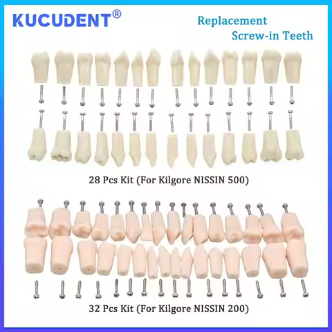 28/32 Pcs Typodont Replacement Teeth Screw-in Fit Kilgore NISSIN 200/500 Type Dental Removeable Dent