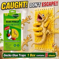 Lizard trap 🦎 Lizard (Cicak/Gecko) Sticky Smart Trap / Lizard Killer Lizard trap glue Strong Adhesiv