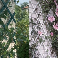 Retractable Fence Garden PVC Plastic Fence Lattice Climbing Plant Wall