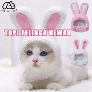 Cat Rabbit Ear Hat for Dogs/cute cat hat