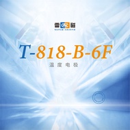 Shanghai Ray T-818-B-6F Type Temperature Electrode