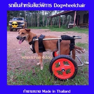 wheelchair4dog รถเข็นสำหรับสัตว์พิการแบบ 2 ล้อ dog wheelchairล้อเลื่อนสำหรับสุนัขพิการ หรือสัตว์ที่มีอาการอัมพฤกษ์ อายุมาก อ่อนแรง(ทักแชทร้านค้า))