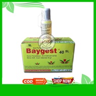 ZPT Baygest 40 SL Asam Giberelat 40 g/l kemasan 15 ml Pembesar Buah NO BIGGEST NO BIGES