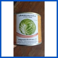 ✬ △ ✭ IN & CO F1 HYBRID WONDERBALL CABBAGE SEED 100 g