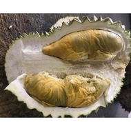 POKOK DURIAN TUPAI KING ORIGINAL