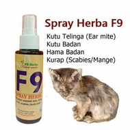 UBAT KUTU TELINGA (EARMITE) | Kucing HERBA TERBAIKk