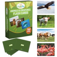 Animal, Insect & Ocean Creatures Flash Cards - 100 Educational Animal Flash Cards for Kids and Adult