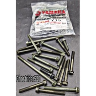 YAMAHA Y15 / Y15ZR ENGINE SCREW SET
