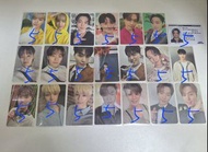 seventeen dino小卡