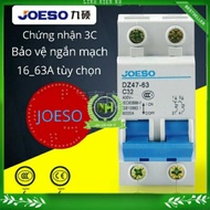 Household 2-Phase Attomat 2TEP DZ47-63 (16A, 32A, 63A)