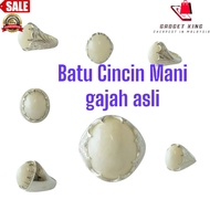 Batu Cincin Mani gajah asli