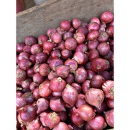 bawang merah Peking 1kg