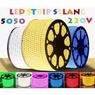 Led Strip Hose Light 5050 SMD AC 220V Metran Outdoor And Outdoor