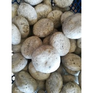 Sasad, ragi,laru, pahit manis No. 1 Original dari Tambunan Sabah.