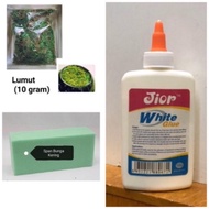 Bahan gubahan bunga /lumut/span/gam putih