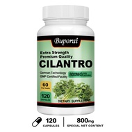 Cilantro - 800 mg 120 Capsules - Vegan Cilantro Supplement Rich in Antioxidants Natural Cleansing an