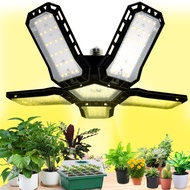 หลอดไฟใบพัด ไฟปลูกต้นไม้ Full Spectrum Grow light 148 LED ค่า PPFD 375 19500 LUX ปลูกผักในบ้าน ไฟปลูกสมุนไพร ไฟร้านต้นไม้ โคมไฟเร่งโต ปลูกต้นไม้ขาย