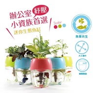 Handsome Aquarium [ACEPET ACEPET] Fish Dance Grass Shop-Office Healing Mini Tank Betta Box Guppy Aqu