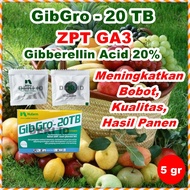 GibGro Tablet 20 TB 5 gr GA3 Hormon Giberelin Acid ZPT GA 3 Zat Pengatur Tumbuh Tanaman