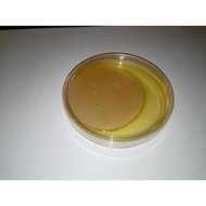 Benih Kombucha @ Benih Scoby @ Benih Mud Mud @ Benih Cedawan Mekah