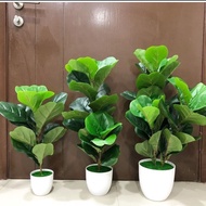 🌿Fiddle leaf fig artificial plant🌿  READY STOCK