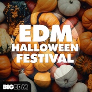 Big EDM EDM Halloween Festival 🔰 ProducerLoops *Sample Pack* (Win/Mac)