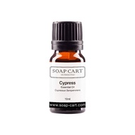 Cypress Essential Oil - 10ml