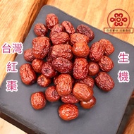 Red Dates Taiwan Red Dates Vitality Red Dates Big Grains {Baiheng Herbal Materials~Yuanfu Foods}