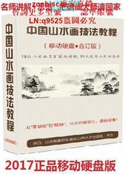 【現貨】中國山水畫技法大全視頻教程 國畫教學入門王中年非dvd光盤素描