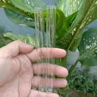 Tabung Reaksi Kaca 25 ML 16x150 mm / Test Tube D3V!!