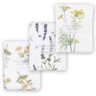 [Japanese Twistless Towel] Pedicel Branch Towel (Small Daisy/Lavender/Fennel Flower 3 Options) Bath 
