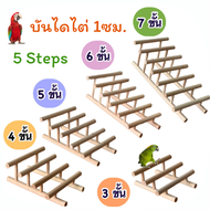 Step บันไดไต่ (เรียงความสูง) ขนาด 1 ซม.3/4/5/6/7 ขั้นไต่ บันไดนก นกหัดเดิน ขึ้นลง ไม้ธรรมชาติ ปลอดภัยต่อสัตว์เลี้ยง