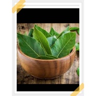 Super fresh bay leaves 500grrm