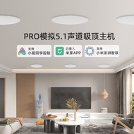 PRO Simulation 5.1 Channel Home Theater Ceiling Audio Support Xiaoai Classmates Control Background S