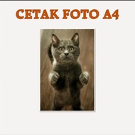 Glossy A4 Photo Printing Silky/
