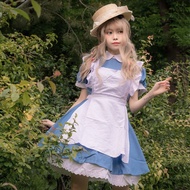 Alice in Wonderland Cute Japanese Anime Maid Costume