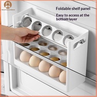 ABOVE Pull Out Egg Organizer Box Smooth Sliding Tray 1Pcs Large Capacity Dustproof for Fridge Kitche