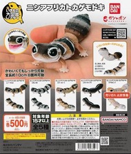 [扭蛋] 掌上可動大圖鑑系列 肥尾守宮