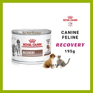 1 Can Recovery Ultra Soft For Cat/Dog 195g Can Food Veterinary Diet Royal Canin (Non-Halal)
