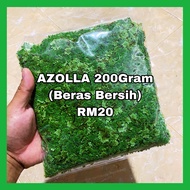 Azolla/kiambang/Aquarium/Aquatik/Aquascape/Aquarium water plant/Floating Plant [NO SABAH SARAWAK]