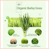✸ ◇ ❂ Weekit7 Barley Grass Powder Original Natural Organic Herbal Nation Barley Juice FDA Approved