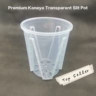 Premium Kaneya Clear SlitPot | Clear Transparent Pot | Aroid Plant Pot | Pasu Bunga Kaneya