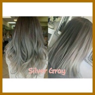 Hair Color Set in Silver Gray 10.01