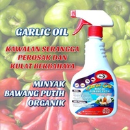 GARLIC OIL SPRAY MINYAK BAWANG PUTIH ORGANIK RACUN SERANGGA KAWALAN SERANGGA TANAMAN BAM E 500ML