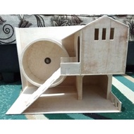 Big Mini Hedgehog House