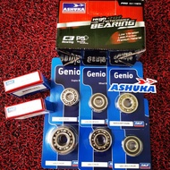 Y15ZR / Y15 C3 BEARING ENGINE SET ASHUKA