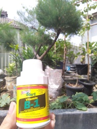 Pupuk tanaman Vitamin B1 100 Ml Liquinox star Vit B